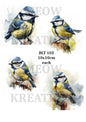 Decoupage Rice Paper – BLT 102