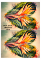 Decoupage Rice Paper – BOP 201b