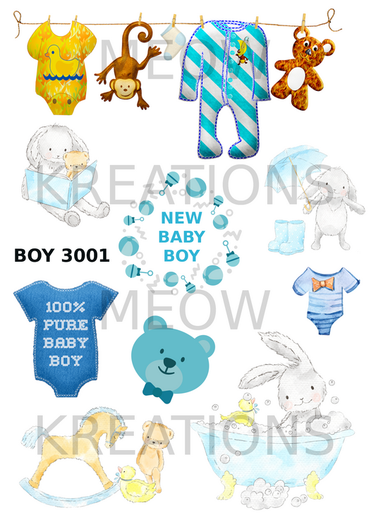 BOY 3001