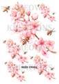 BIENEN 19001