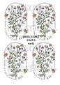 BIENEN 21003