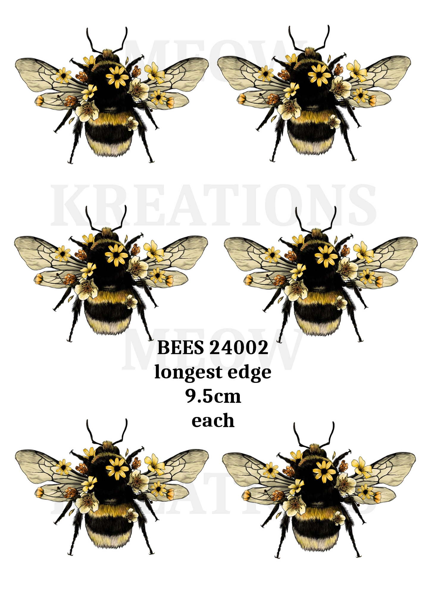 BEES 24002