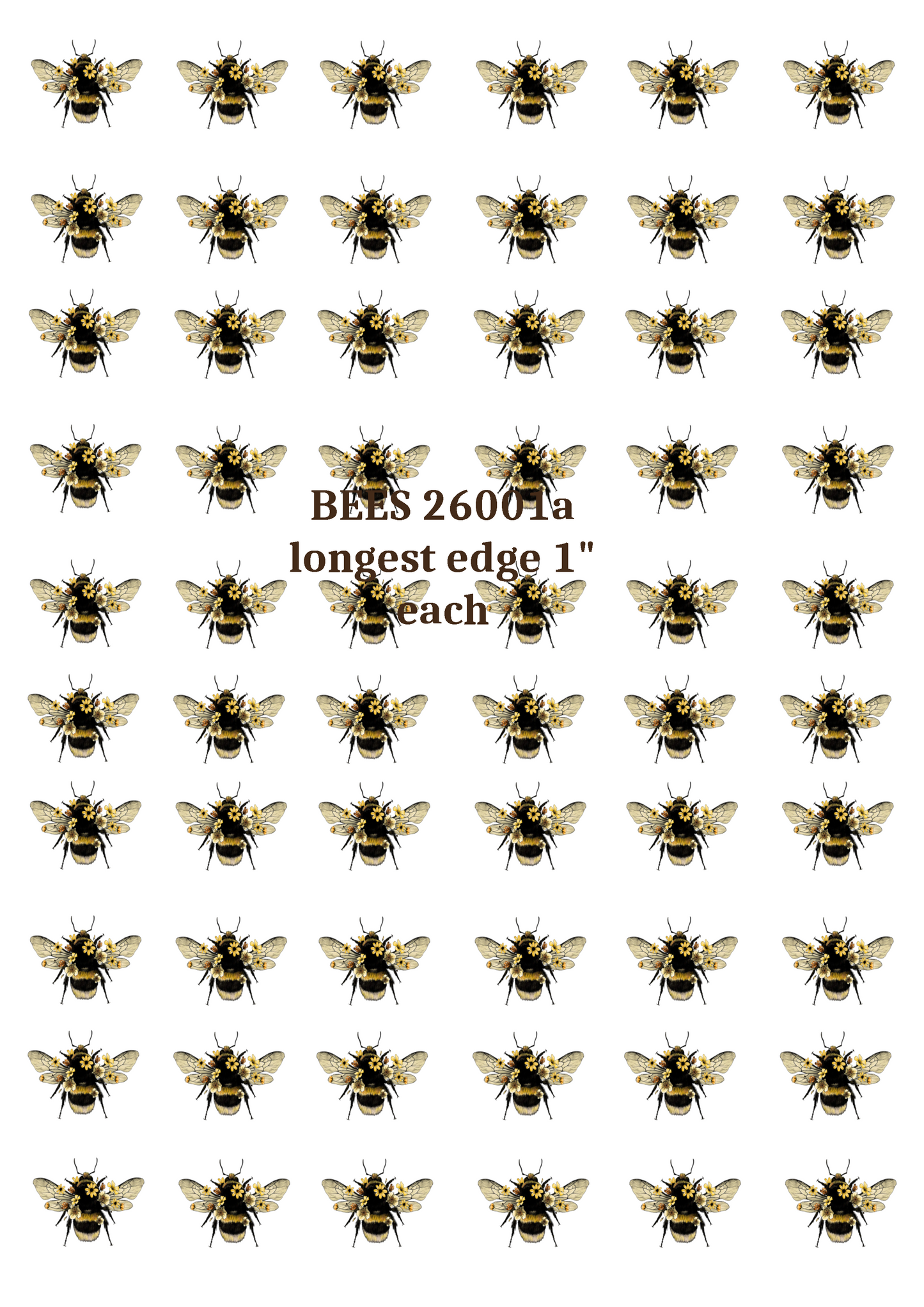 BIENEN 26001a