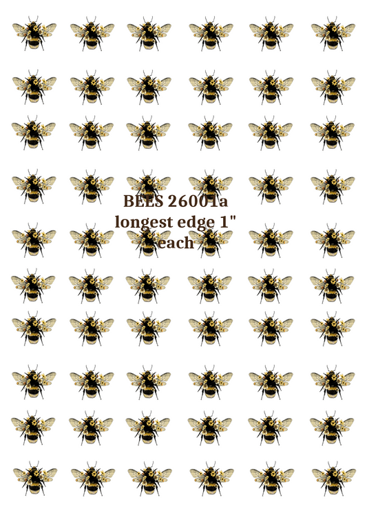 ABEJAS 26001a