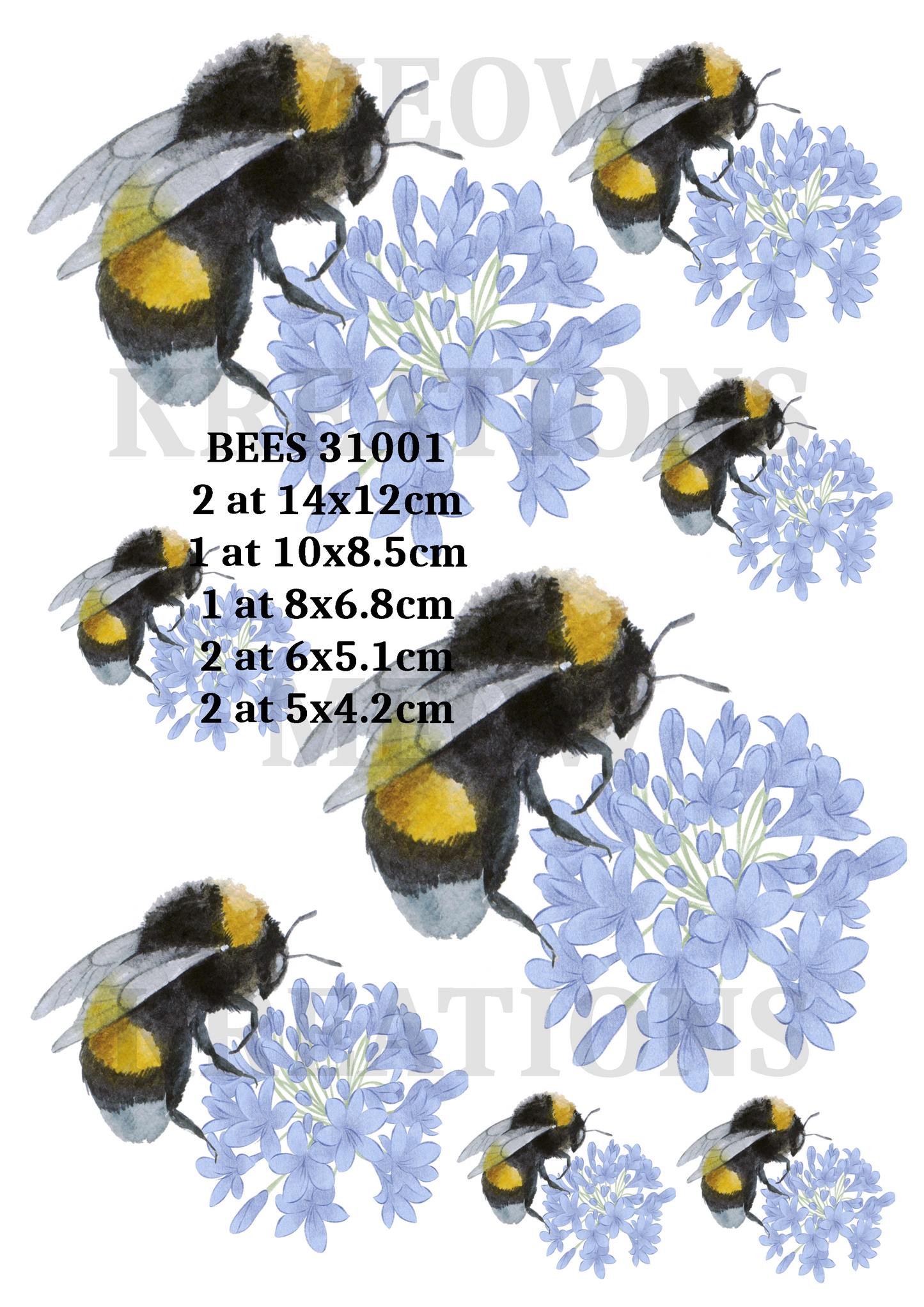 BEES 31001