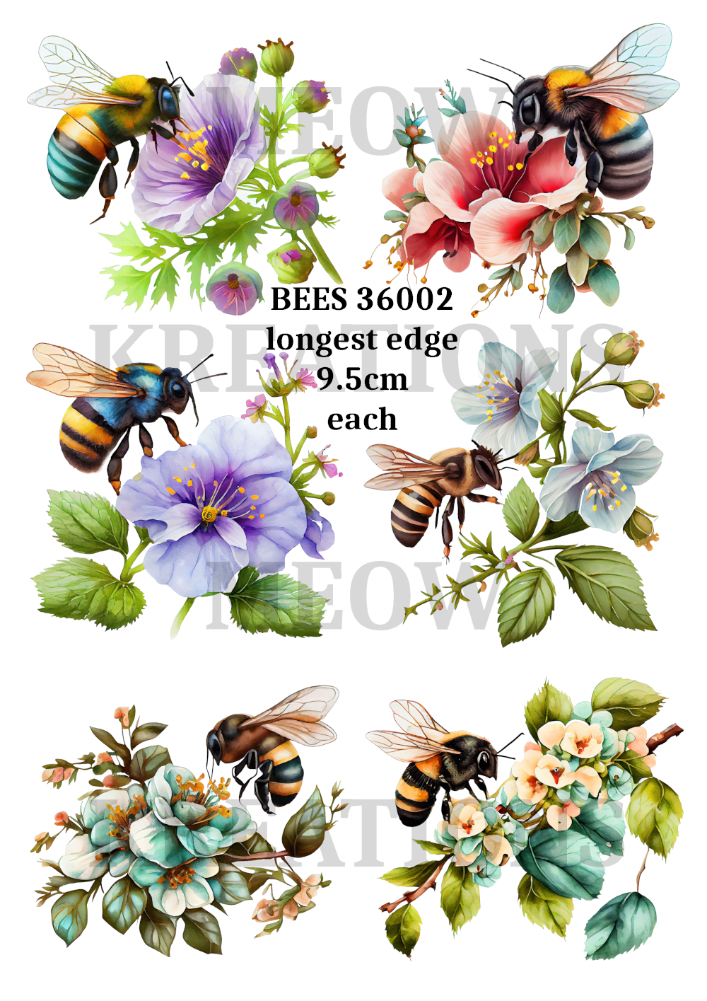 BEES 36002