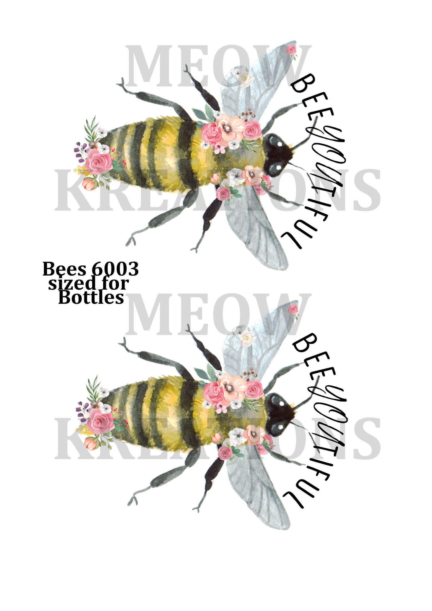 BEES 6003