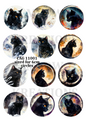 Black Cats Winter Circles Decoupage Rice Paper - CAG 11001