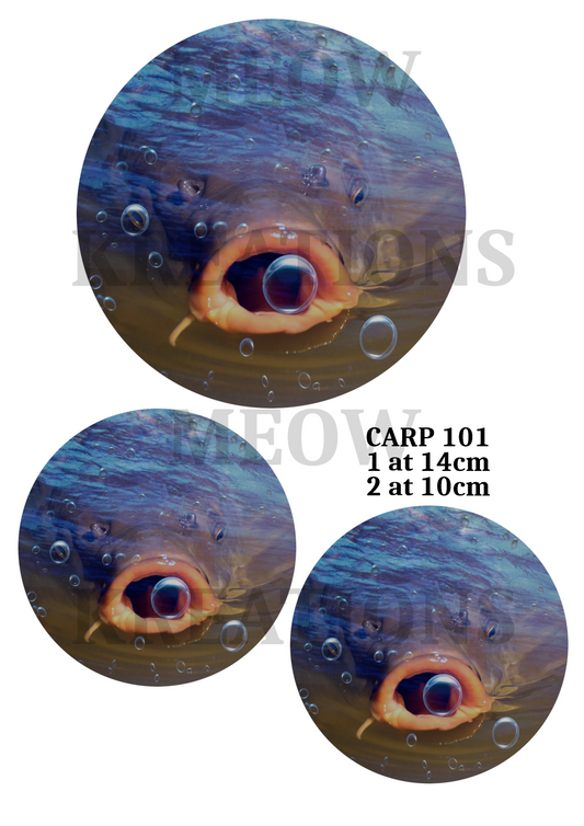 CARP 101