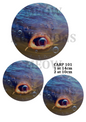 Decoupage Rice Paper – CARP 101