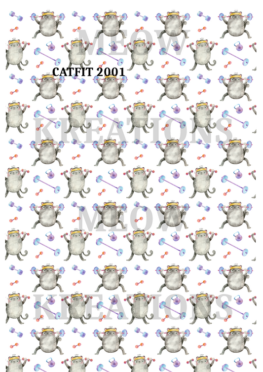 CATFIT 2001