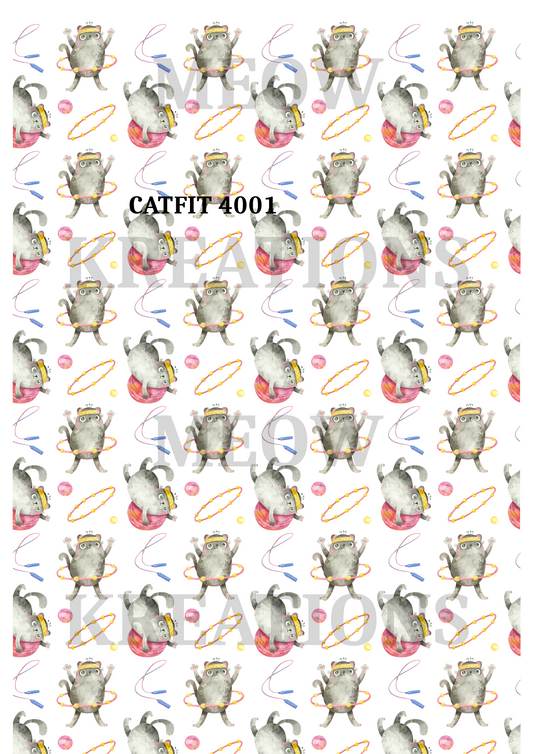 CATFIT 4001