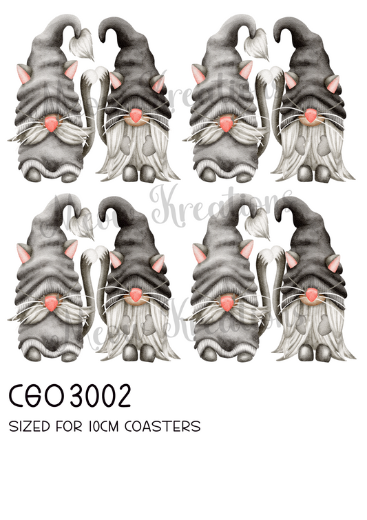 CGO 3002