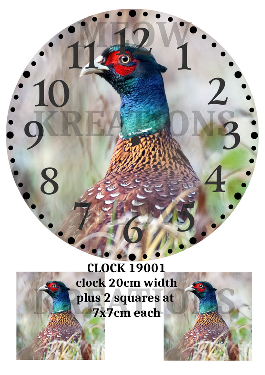 CLOCK 19001