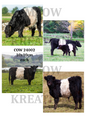 Decoupage Rice Paper – COW 24002