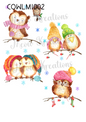 Owl Bird Christmas Decoupage Rice Paper - COWLM 1002