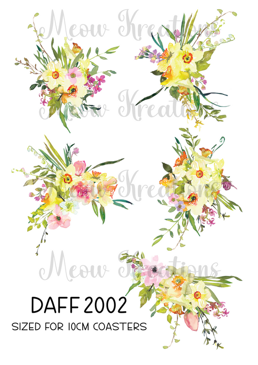 DAFF 2002