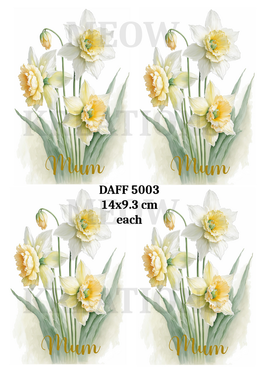 DAFF 5003