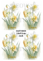 Decoupage Rice Paper – DAFF 8003