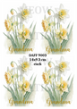 Decoupage Rice Paper – DAFF 9003