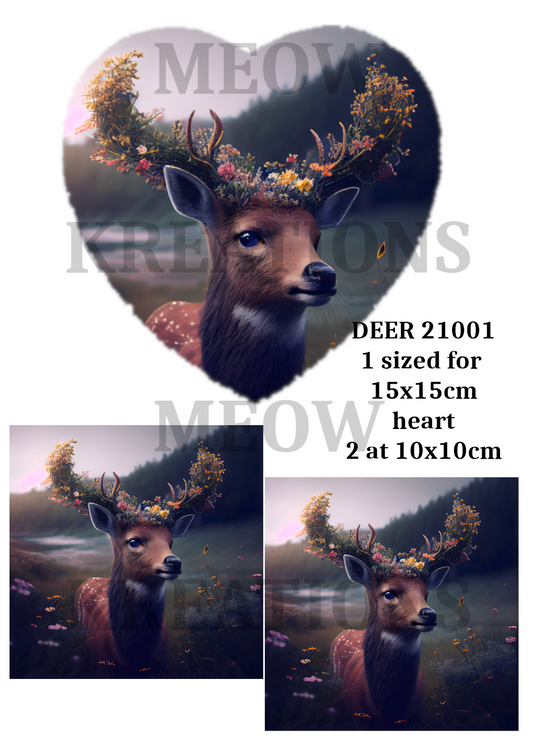 DEER 21001