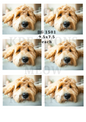 Labradoodle Decoupage Rice Paper - DG 1501
