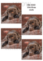 Chocolate Labrador Decoupage Rice Paper - DG 2502