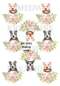 Decoupage Rice Paper – DG 3201