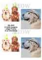 Labrador in Hat Decoupage Rice Paper - DG 402