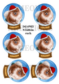 Pomeranian Dog in Santa Hat Christmas Decoupage Rice Paper - DG 4902