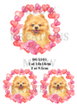 Decoupage Rice Paper – DG 5101
