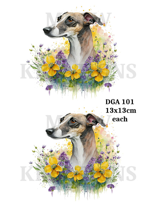 DGA 101