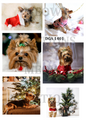 Yorkshire Terrier Dog Christmas Decoupage Rice Paper - DGA 1401