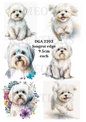 White Maltese Dog Collection Decoupage Rice Paper - DGA 2202