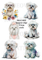 White Maltese Dog Collection Decoupage Rice Paper - DGA 2402