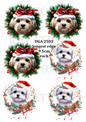 Maltese Dog Christmas Decoupage Rice Paper - DGA 2502
