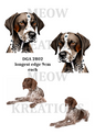German Shorthaired Pointer Decoupage Rice Paper  - DGA 2802