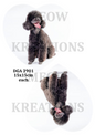 Chocolate Brown Poodle Portraits Decoupage Rice Paper - DGA 2901