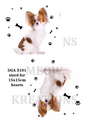 Papillon Dog Paw Prints Decoupage Rice Paper - DGA 3101