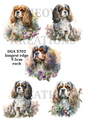 Cavalier King Charles Spaniel Floral Decoupage Rice Paper - DGA 3702