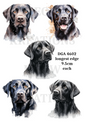 Black Labrador Decoupage Rice Paper - DGA 4602