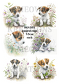 Jack Russell Puppy Floral Decoupage Rice Paper - DGA 502