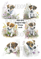 Jack Russell Puppy Floral Decoupage Rice Paper - DGA 602