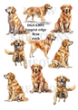Golden Retriever Watercolour Collection Decoupage Rice Paper - DGA 6301