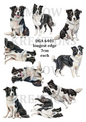 order Collie Watercolour Collection Decoupage Rice Paper - DGA 6401