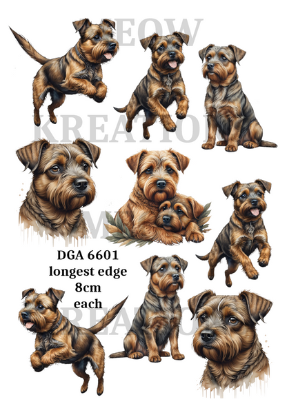 Border Terrier Watercolour Collection Decoupage Rice Paper - DGA 6601