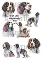 Springer Spaniel Watercolour Collection Decoupage Rice Paper - DGA 6801