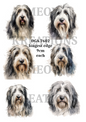Border Collie Watercolour Collection Decoupage Rice Paper - DGA 7602