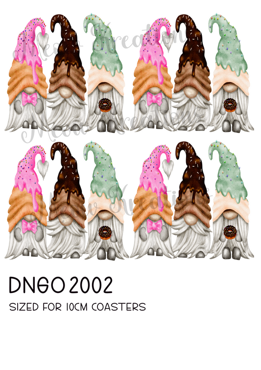 DNGO 2002