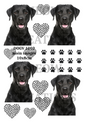 Decoupage Rice Paper – DOGV 1002